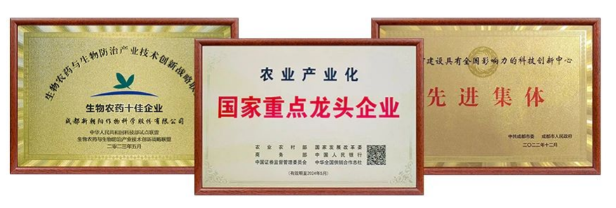 2023 Chengdu Newsun TECHNOLOGY EMPOWERS CLIMBING NEW HEIGHTS