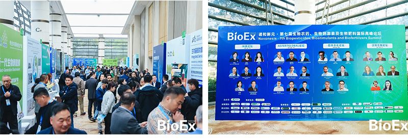 新朝陽亮相BioEx 2026：技術(shù)供給+屬地化協(xié)同，推動(dòng)高性能生物刺激素高效落地