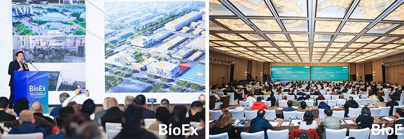 新朝陽亮相BioEx 2026：技術供給+屬地化協同，推動高性能生物刺激素高效落地