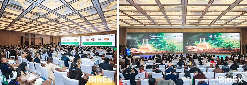 新朝陽亮相BioEx 2026：技術供給+屬地化協同，推動高性能生物刺激素高效落地