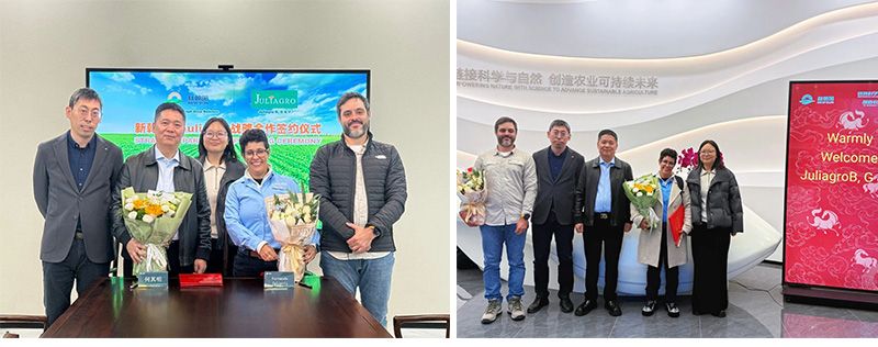 深化國際化布局，新朝陽與巴西Juliagro簽署戰(zhàn)略合作協(xié)議